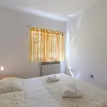 Pino